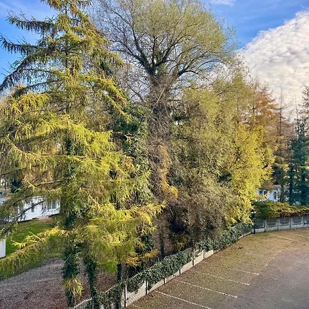 Relax 2 * 미엥지즈드로예